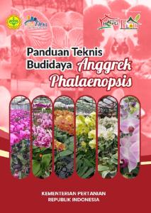 Cover_Phalaenopsis